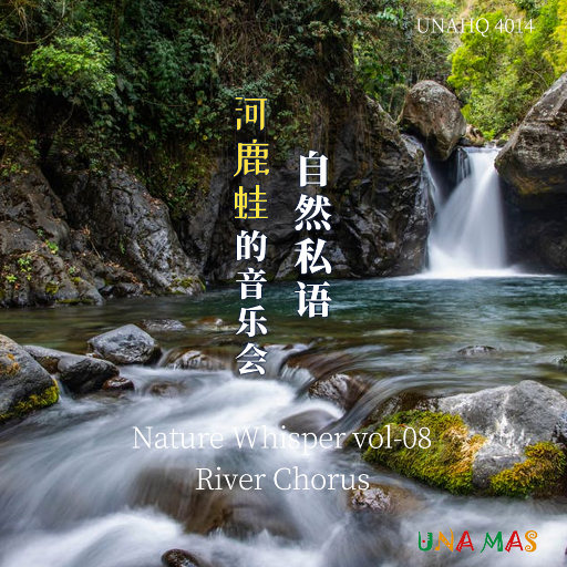 午夜国产无码在线观看
